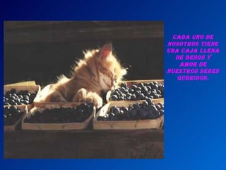 Cada uno de nosotros tiene una caja llena de besos y amor de nuestros seres queridos.