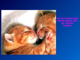 No hay cosas más importantes que se puedan poseer.