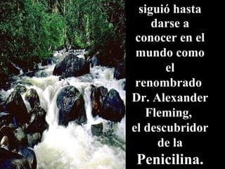 siguió hasta
darse a
conocer en el
mundo como
el
renombrado
Dr. Alexander
Fleming,
el descubridor
de la
Penicilina.
 