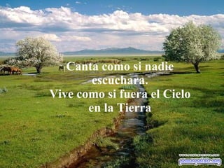 No puedes arreglar Canta como si nadie escuchara. Vive como si fuera el Cielo en la Tierra 