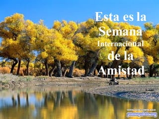 Esta es la Semana  Internaci onal  de la Amistad 