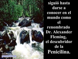 siguió hasta darse a conocer en el mundo como el renombrado  Dr. Alexander Fleming,  el descubridor de la Penicilina. 