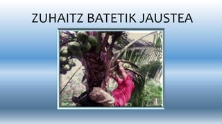 ZUHAITZ BATETIK JAUSTEA
 