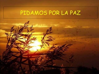 PIDAMOS POR LA PAZ 