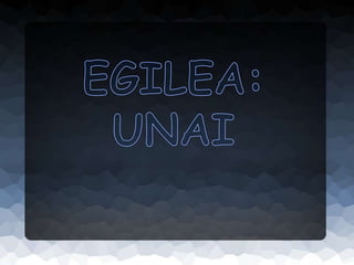 Unai lan monografikoa