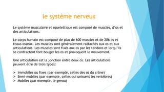 Le système musculaire et squelettique est composé de muscles, d’os et
des articulations.
Le corps humain est composé de plus de 600 muscles et de 206 os et
tissus osseux. Les muscles sont généralement rattachés aux os et aux
articulations. Les muscles sont fixés aux os par les tendons et lorqu’ils
se contractent font bouger les os et provoquent le mouvement.
Une articulation est la jonction entre deux os. Les articulations
peuvent être de trois types:
 Immobiles ou fixes (par exemple, celles des os du crâne)
 Semi-mobiles (par exemple, celles qui unissent les vertèbres)
 Mobiles (par exemple, le genou)
le système nerveux
 