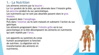 1.- La Nutrition
Les aliments entrent par la bouche .
La foie produit de la bile, qui est déversée dans l’intestin grêle.
Le pancréas produit du suc pancréatique.
Les nutriments qui ne sont pas absorbés passent dans le gros
intestin.
Ils passent dans l’oesophage.
Puis dans l’estomac où ils sont malaxés et subissent l’action du suc
gastrique.
Les aliments progressent dans l’intestin grêle où le suc
pancrèatique et la bile décomposent les aliments en nutriments
qui sont rejetés par l’anus.
Les appareils ou systèmes du corps
humain accomplissent la fonction
de nutrition. La digestion est la
transformation des aliments en
nutriments.
 