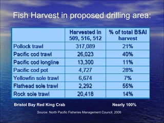Fish Harvest in proposed drilling area: Source: North Pacific Fisheries Management Council, 2006  Bristol Bay Red King Crab Nearly 100%   