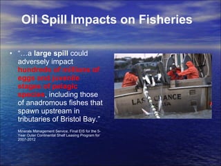 Oil Spill Impacts on Fisheries   “… a  large spill  could adversely impact  hundreds of millions of eggs and juvenile stages of pelagic species , including those of anadromous fishes that spawn upstream in tributaries of Bristol Bay.”  Minerals Management Service, Final EIS for the 5-Year Outer Continental Shelf Leasing Program for 2007-2012 