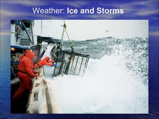 Weather:  Ice and Storms 