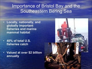 Importance of Bristol Bay and the Southeastern Bering Sea Locally, nationally, and globally important fisheries and marine mammal habitat 40% of total U.S. fisheries catch Valued at over $2 billion annually  USFWS NOAA USFWS 