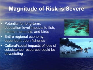 Magnitude of Risk is Severe Potential for long-term, population-level impacts to fish, marine mammals, and birds  Entire regional economy dependent upon fisheries Cultural/social impacts of loss of subsistence resources could be devastating  Photo: NOAA 