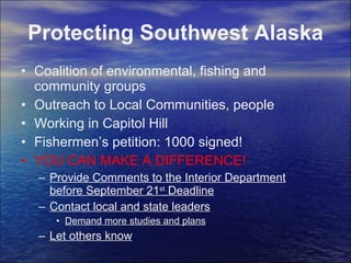 Protecting Southwest Alaska Coalition of environmental, fishing and community groups Outreach to Local Communities, people Working in Capitol Hill Fishermen’s petition: 1000 signed! YOU CAN MAKE A DIFFERENCE! Provide Comments to the Interior Department before September 21 st  Deadline Contact local and state leaders Demand more studies and plans Let others know 