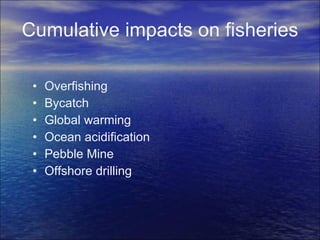 Cumulative impacts on fisheries Overfishing Bycatch Global warming Ocean acidification Pebble Mine Offshore drilling 