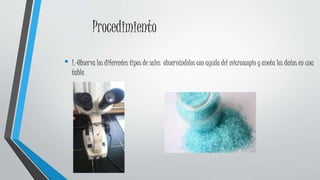 Procedimiento
• 1.-Observa los diferentes tipos de sales observándolos con ayuda del microscopio y anota los datos en una
tabla
 