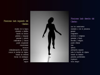 Funciones lado izquierdo del Cerebro empleo de la lógica orientado a detalles basado en hechos palabras y lenguaje presente y pasado matemáticas y ciencia puede comprender conocimiento reconoce orden/percepción de modelos conoce el nombre de objetos basado en realidad formas de estrategias practico seguro Funciones lado derecho del Cerebro usa los sentimientos orientado a ver el panorama general imaginativo símbolos e imágenes presente y futuro filosofía y religión puede obtener cree aprecia percepción espacial sabe la función de objetos basado en fantasía presenta posibilidades impetuoso toma riesgos  