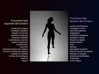 Funciones lado izquierdo del Cerebro empleo de la lógica orientado a detalles basado en hechos palabras y lenguaje presente y pasado matemáticas y ciencia puede comprender conocimiento reconoce orden/percepción de modelos conoce el nombre de objetos basado en realidad formas de estrategias practico seguro Funciones lado derecho del Cerebro usa los sentimientos orientado a ver el panorama general imaginativo símbolos e imágenes presente y futuro filosofía y religión puede obtener cree aprecia percepción espacial sabe la función de objetos basado en fantasía presenta posibilidades impetuoso toma riesgos  