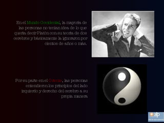 En el  Mundo Occidental , la mayoría de las personas no tenían idea de lo que quería decir Platón con su teoría de dos cerebros y básicamente la ignoraron por cientos de años o más. Por su parte en el  Oriente , las personas entendieron los principios del lado izquierdo y derecho del cerebro a su propia manera 