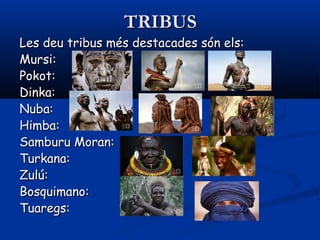 TRIBUSTRIBUS
Les deu tribus més destacades són els:Les deu tribus més destacades són els:
Mursi:Mursi:
Pokot:Pokot:
Dinka:Dinka:
Nuba:Nuba:
Himba:Himba:
Samburu Moran:Samburu Moran:
Turkana:Turkana:
Zulú:Zulú:
Bosquimano:Bosquimano:
Tuaregs:Tuaregs:
 