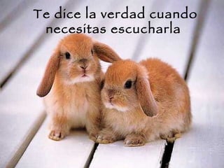 Te dice la verdad cuando necesitas escucharla