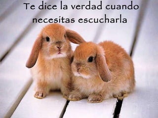 Te dice la verdad cuando necesitas escucharla  