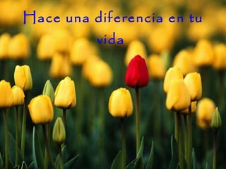 Hace una diferencia en tu vida  