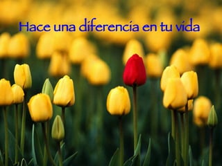 Hace una diferencia en tu vida  