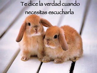 Te dice la verdad cuando necesitas escucharla  