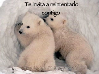 Te invita a reintentarlo contigo  