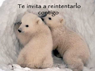 Te invita a reintentarlo contigo