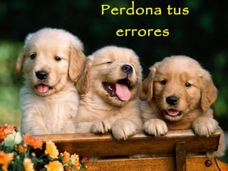 Perdona tus errores