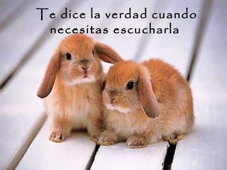 Te dice la verdad cuando
necesitas escucharla
 