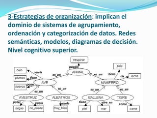 3-Estrategias de organización: implican el
dominio de sistemas de agrupamiento,
ordenación y categorización de datos. Redes
semánticas, modelos, diagramas de decisión.
Nivel cognitivo superior.
 