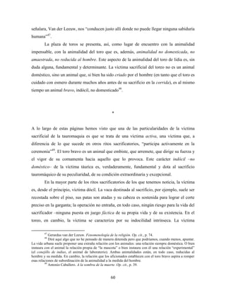 señalara, Van der Leeuw, nos “conducen justo allí donde no puede llegar ninguna sabiduría
humana”47.
        La plaza de toros se presenta, así, como lugar de encuentro con la animalidad
impensable, con la animalidad del toro que es, además, animalidad no domesticada, no
amaestrada, no reducida al hombre. Este aspecto de la animalidad del toro de lidia es, sin
duda alguna, fundamental y determinante. La víctima sacrificial del toreo no es un animal
doméstico, sino un animal que, si bien ha sido criado por el hombre (en tanto que el toro es
cuidado con esmero durante muchos años antes de su sacrificio en la corrida), es al mismo
tiempo un animal bravo, indócil, no domesticado48.




                                                     *


A lo largo de estas páginas hemos visto que una de las particularidades de la víctima
sacrificial de la tauromaquia es que se trata de una víctima activa, una víctima que, a
diferencia de lo que sucede en otros ritos sacrificatorios, “participa activamente en la
ceremonia”49. El toro bravo es un animal que embiste, que arremete, que dirige su fuerza y
el vigor de su cornamenta hacia aquello que lo provoca. Este carácter indócil –no
doméstico– de la víctima táurica es, verdaderamente, fundamental y dota al sacrificio
tauromáquico de su peculiaridad, de su condición extraordinaria y excepcional.
        En la mayor parte de los ritos sacrificatorios de los que tenemos noticia, la víctima
es, desde el principio, víctima dócil. La vaca destinada al sacrificio, por ejemplo, suele ser
recostada sobre el piso, sus patas son atadas y su cabeza es sostenida para lograr el corte
preciso en la garganta; la operación no entraña, en todo caso, ningún riesgo para la vida del
sacrificador –ninguna puesta en juego fáctica de su propia vida y de su existencia. En el
toreo, en cambio, la víctima se caracteriza por su indocilidad intrínseca. La víctima

        47
            Gerardus van der Leeuw. Fenomenología de la religión. Op. cit., p. 74.
        48
            Diré aquí algo que no he pensado de manera detenida pero que podríamos, cuando menos, apuntar.
La vida urbana suele proponer una extraña relación con los animales: una relación siempre doméstica. O bien
instaura con el animal la relación propia de “la mascota” o bien instaura con él una relación “experimental”
(el conejillo de indias, el animal de laboratorio). Ambas animalidades están, en todo caso, reducidas al
hombre y su medida. En cambio, la relación que los aficionados establecen con el toro bravo aspira a romper
esas relaciones de subordinación de la animalidad a la medida del hombre.
         49
            Antonio Caballero. A la sombra de la muerte. Op. cit., p. 39.


                                                    60
 