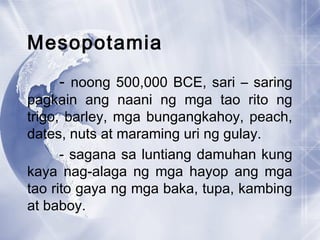 Mesopotamia
- noong 500,000 BCE, sari – saring
pagkain ang naani ng mga tao rito ng
trigo, barley, mga bungangkahoy, peach,
dates, nuts at maraming uri ng gulay.
- sagana sa luntiang damuhan kung
kaya nag-alaga ng mga hayop ang mga
tao rito gaya ng mga baka, tupa, kambing
at baboy.
 