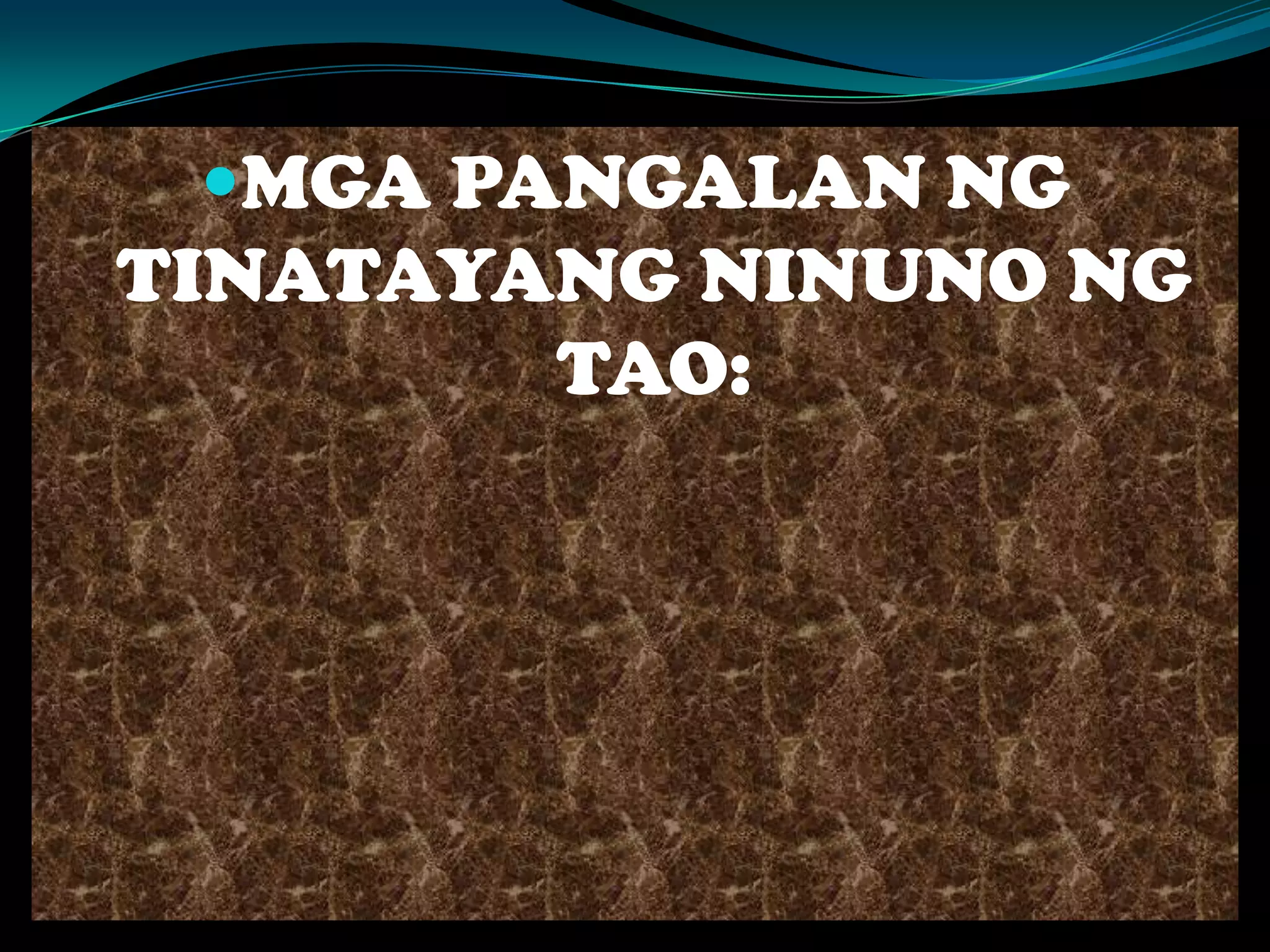 MGA PANGALAN NG
TINATAYANG NINUNO NG
TAO:
 