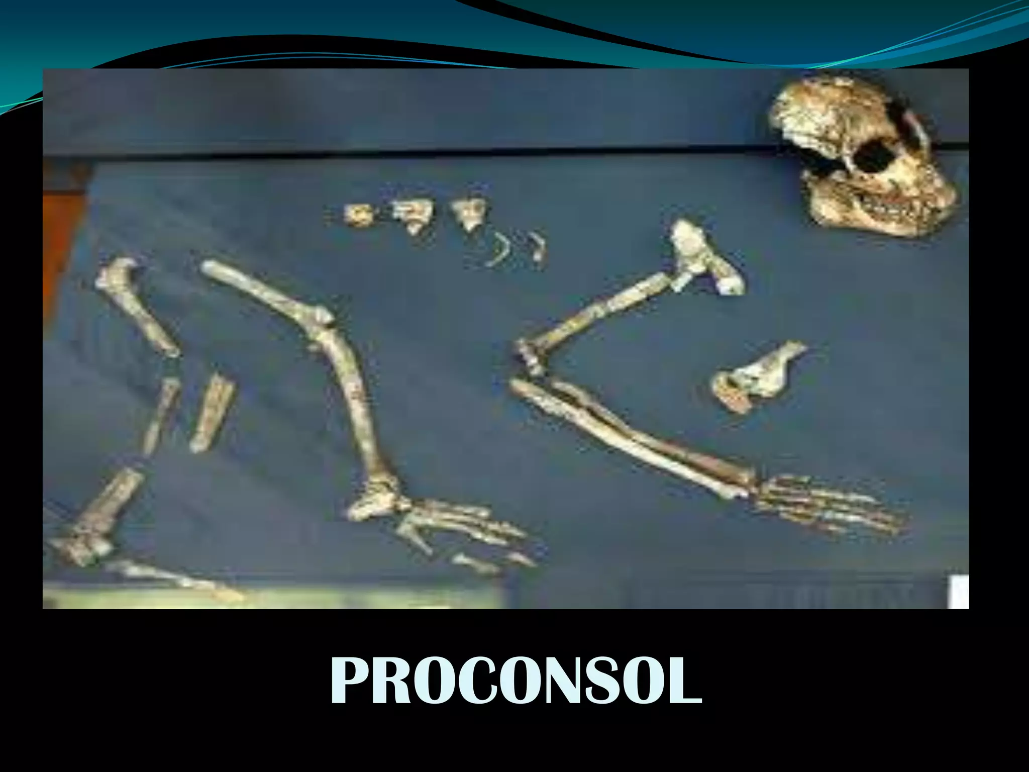 PROCONSOL
 