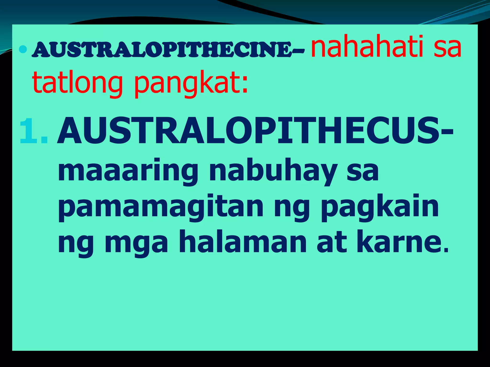  AUSTRALOPITHECINE– nahahati sa
tatlong pangkat:
1. AUSTRALOPITHECUS-
maaaring nabuhay sa
pamamagitan ng pagkain
ng mga halaman at karne.
 