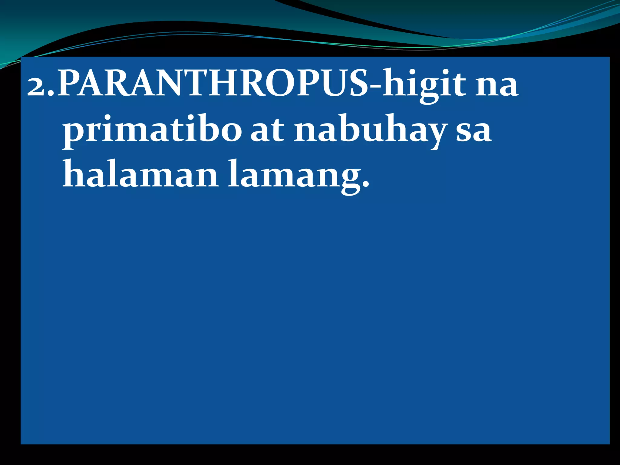 2.PARANTHROPUS-higit na
primatibo at nabuhay sa
halaman lamang.
 
