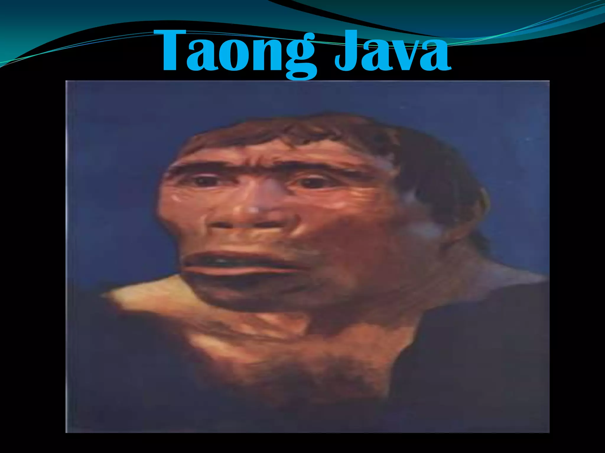 Taong Java
 