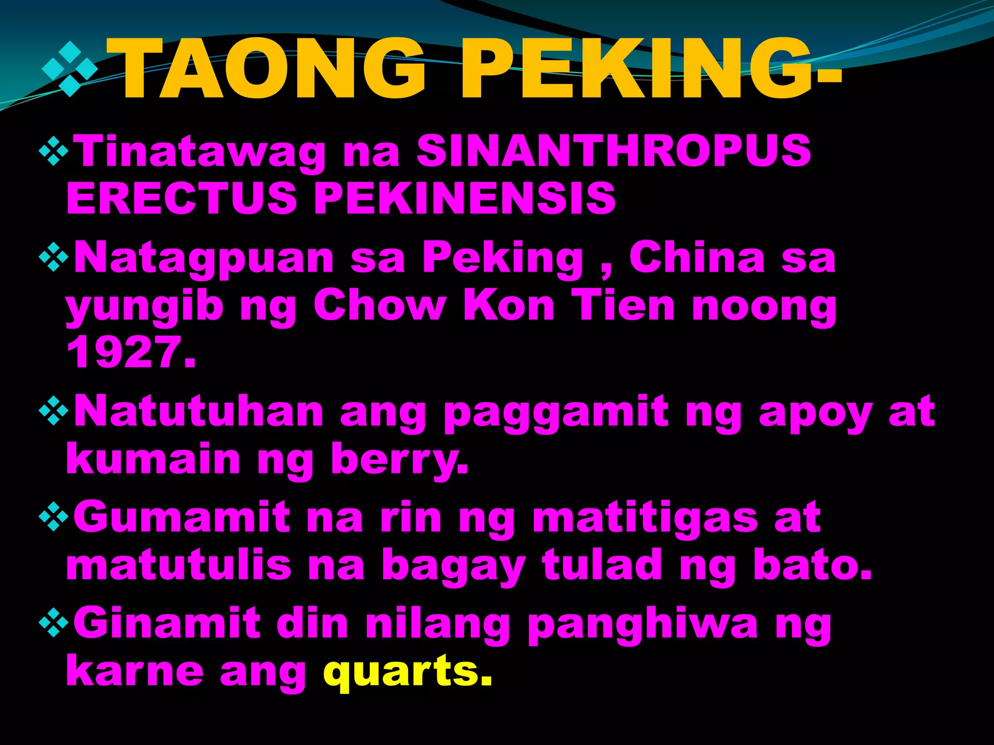 TAONG PEKING-
Tinatawag na SINANTHROPUS
ERECTUS PEKINENSIS
Natagpuan sa Peking , China sa
yungib ng Chow Kon Tien noong
1927.
Natutuhan ang paggamit ng apoy at
kumain ng berry.
Gumamit na rin ng matitigas at
matutulis na bagay tulad ng bato.
Ginamit din nilang panghiwa ng
karne ang quarts.
 