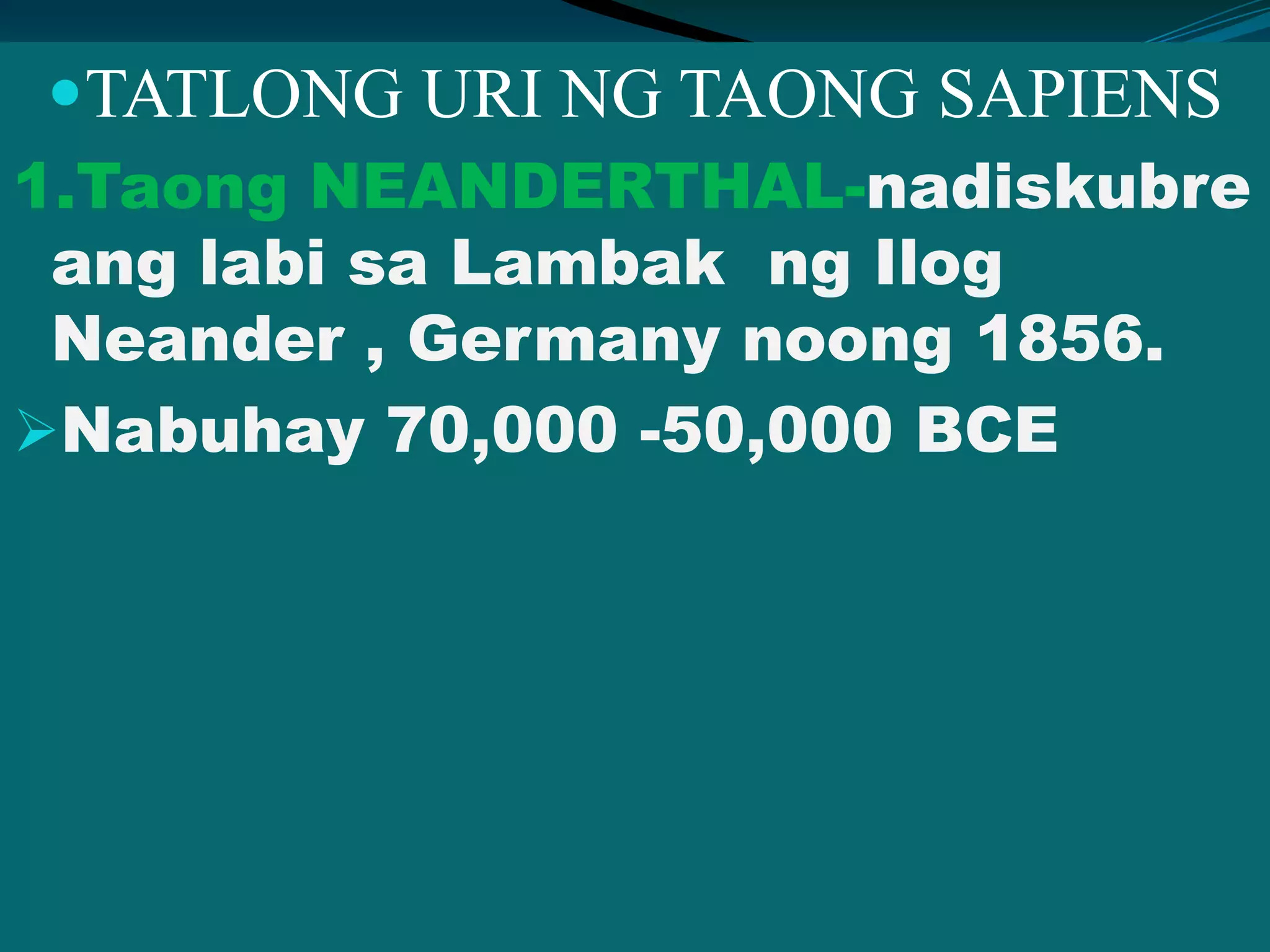 TATLONG URI NG TAONG SAPIENS
1.Taong NEANDERTHAL-nadiskubre
ang labi sa Lambak ng Ilog
Neander , Germany noong 1856.
Nabuhay 70,000 -50,000 BCE
 