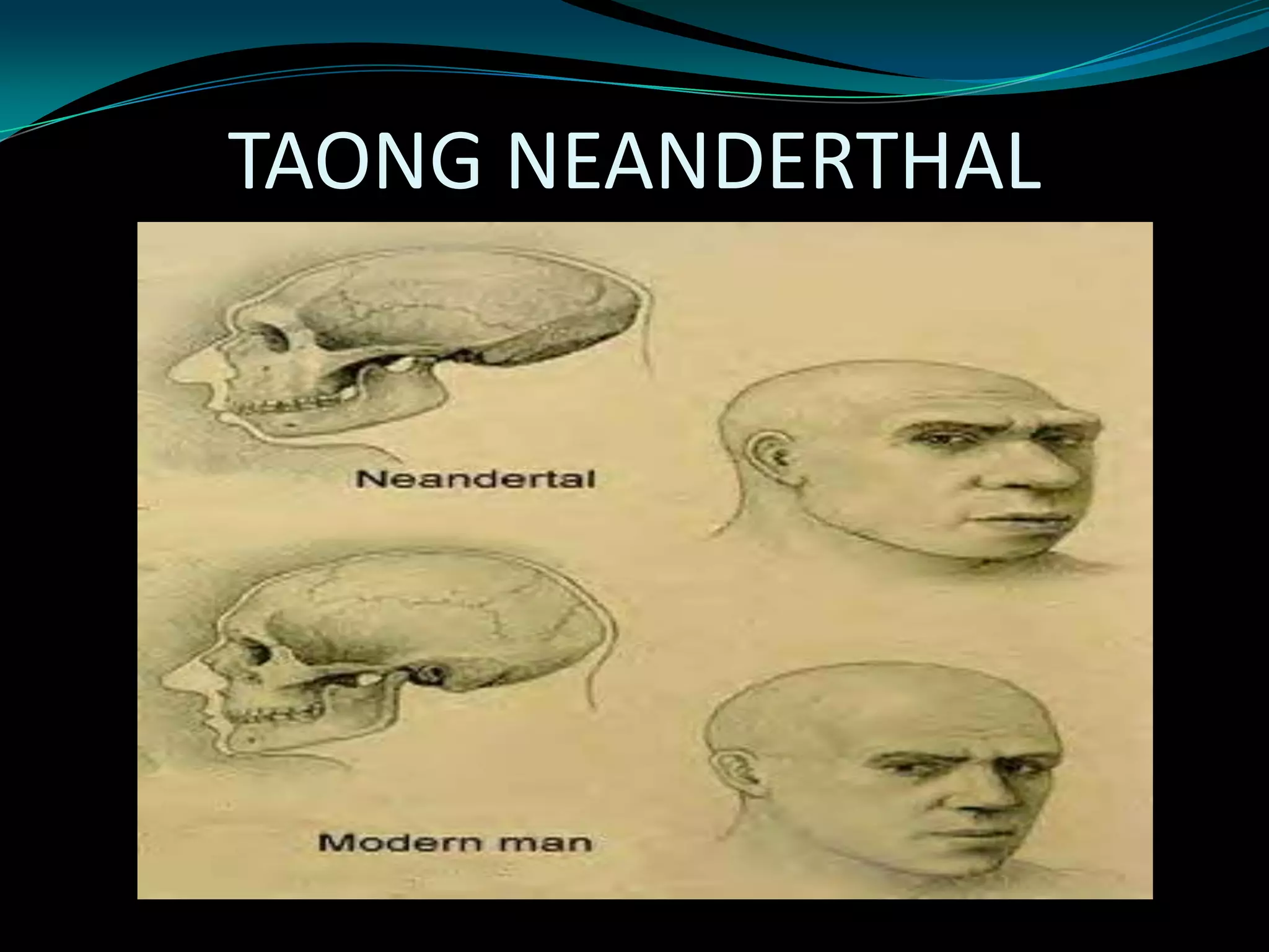 TAONG NEANDERTHAL
 