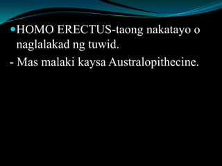 HOMO ERECTUS-taong nakatayo o
naglalakad ng tuwid.
- Mas malaki kaysa Australopithecine.
 