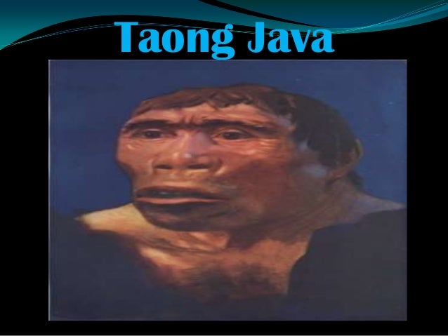Unang tao. ap
