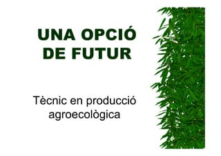 UNA OPCIÓ
DE FUTUR

Tècnic en producció
  agroecològica
 