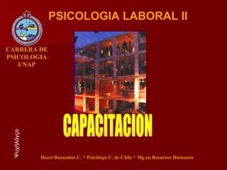 CAPACITACION PSICOLOGIA LABORAL II Ψυχήλόγςο Horst Bussenius C. * Psicólogo U. de Chile * Mg en Recursos Humanos CARRERA DE PSICOLOGIA UNAP 