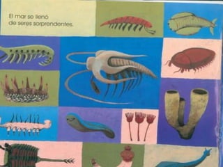 Una particula muy pequeña