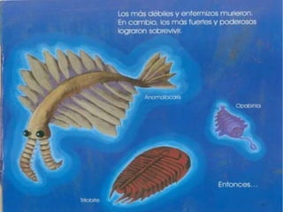 Una particula muy pequeña