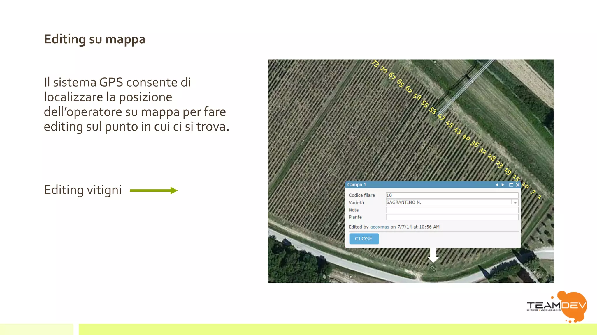 Editing su mappa 
Il sistema GPS consente di 
localizzare la posizione 
dell’operatore su mappa per fare 
editing sul punto in cui ci si trova. 
Editing vitigni 
 
